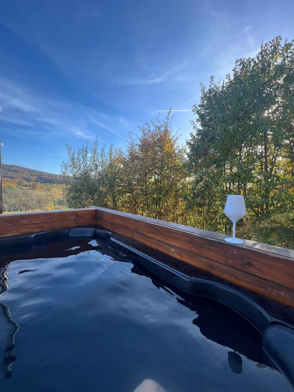 Le Chalet M - Cabana Cu O Panorama De Poveste. Surdesti  Экстерьер фото