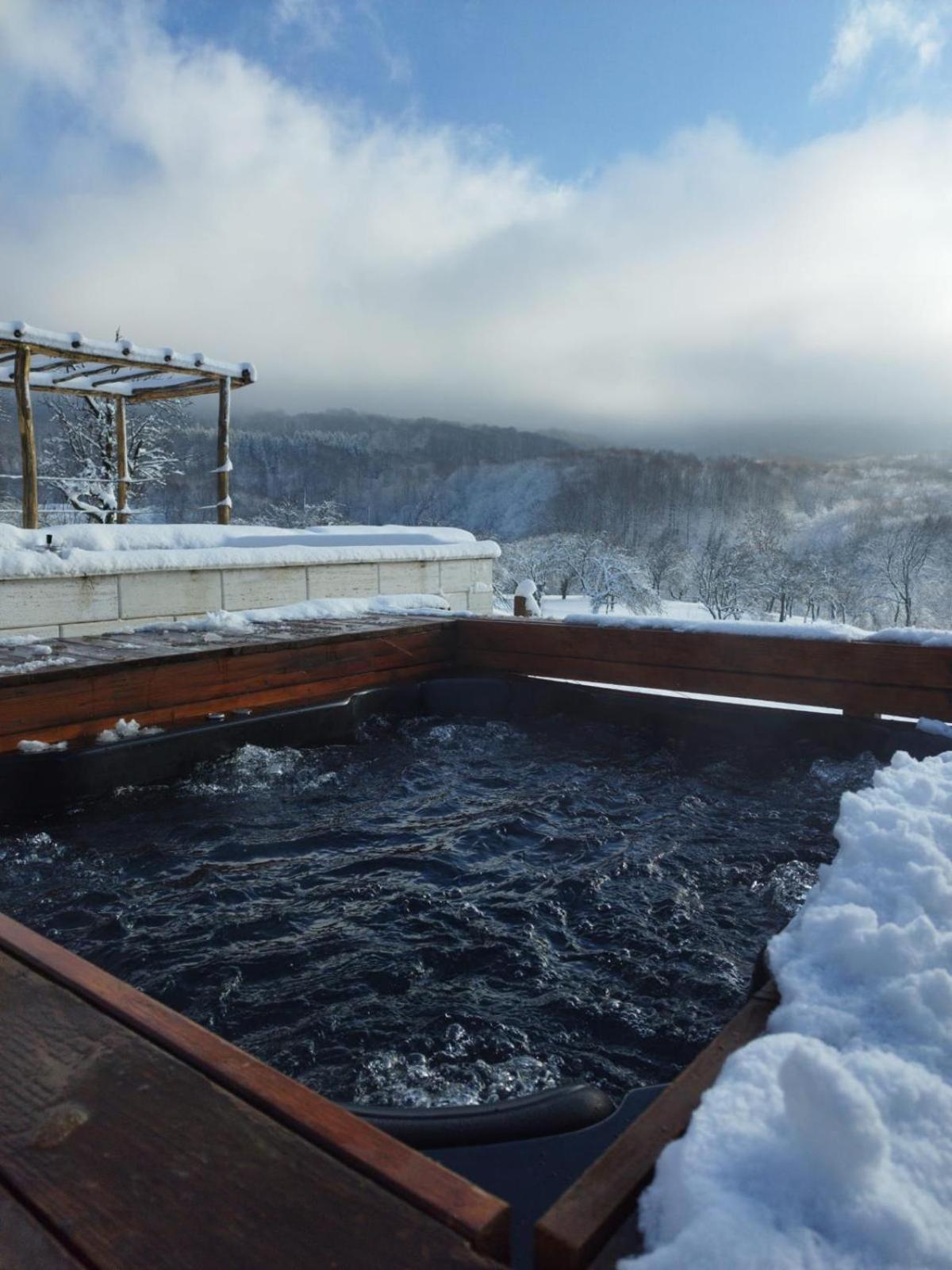 Le Chalet M - Cabana Cu O Panorama De Poveste. Surdesti  Экстерьер фото